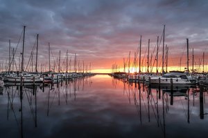 Im Yachthafen Hohe Düne image-16184