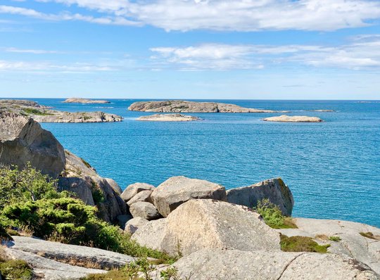 maja-hurtigh-cysFRA6_iOo-unsplash