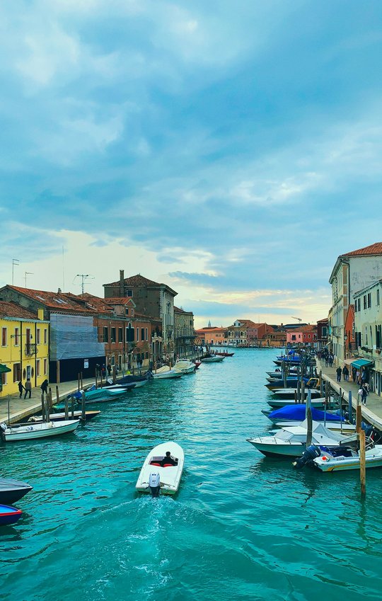 robert-anitei-8l9999WcxUo-unsplash