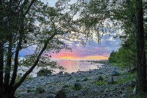 Bei Parispea an der Nordküste Estlands image-16354