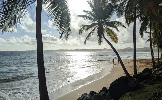 thomas-isbister-0z9blJ8lH5o-unsplash