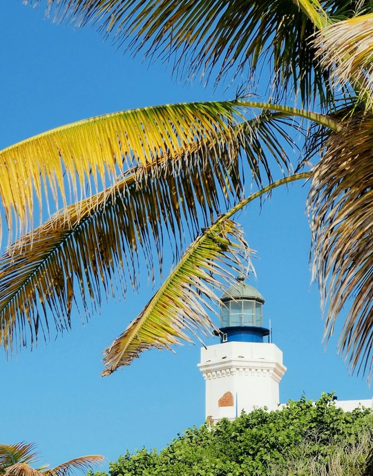 daniel-reyes-IF0rUcyszLg-unsplash