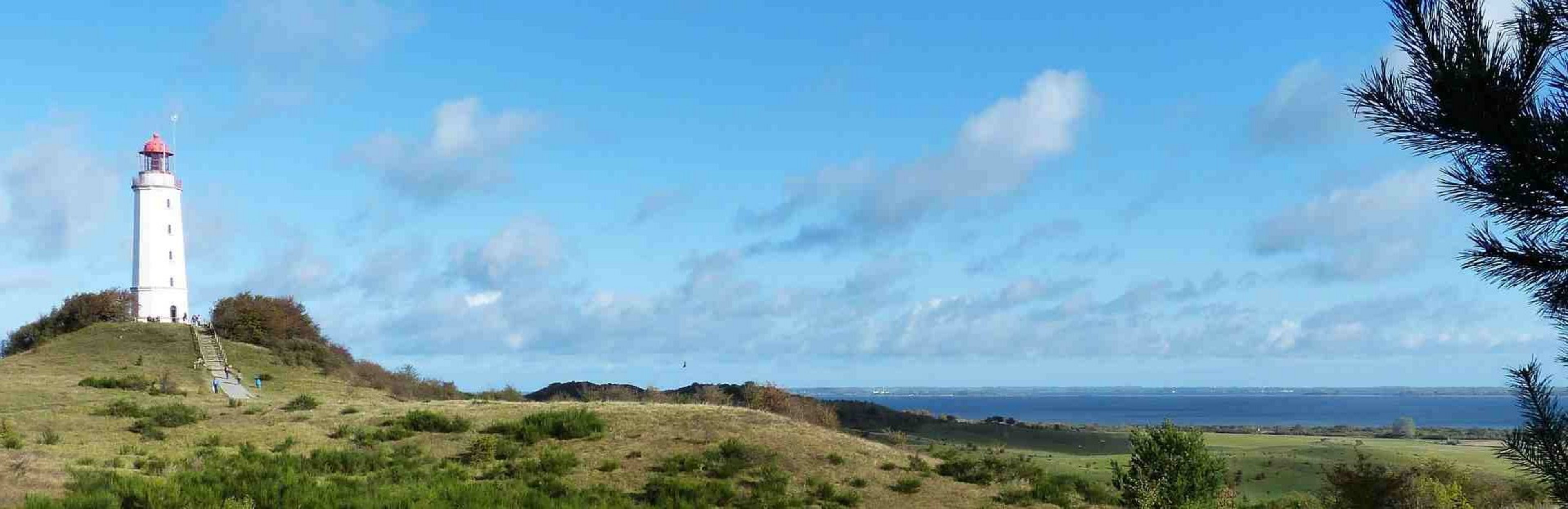 © falco / pixabay © falco / pixabay