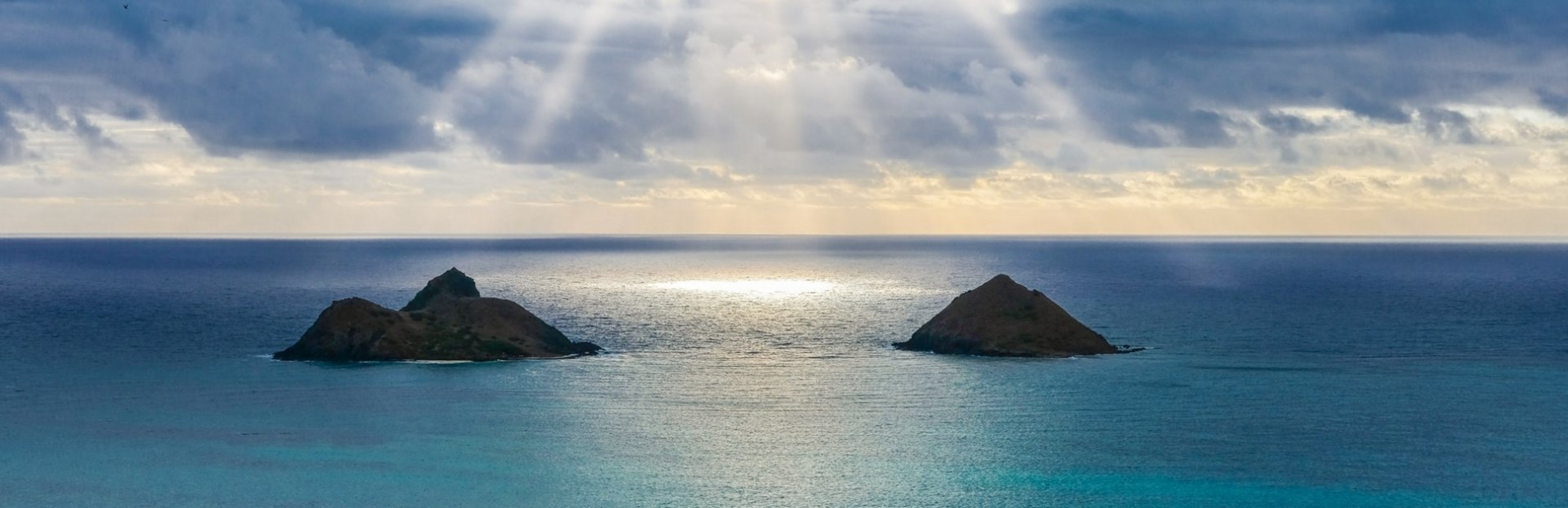 © amanda phung / unplash © amanda phung / unplash