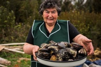 © Patagonia Yacht Charter image-16886