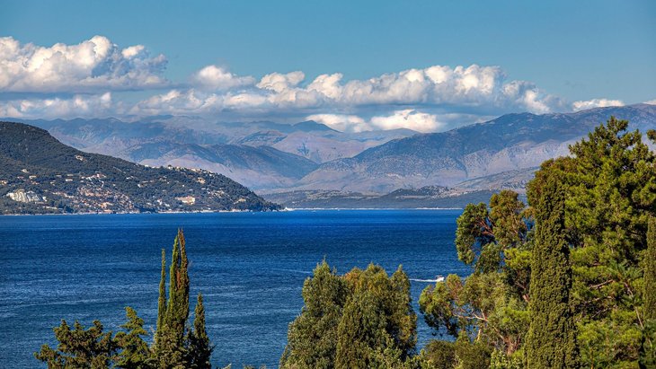 trees-5904521_1920_01