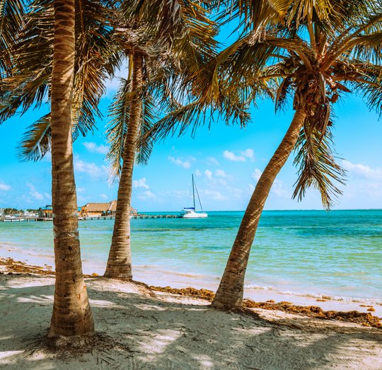 meritt-thomas-U7iqVFWF1rI-unsplash