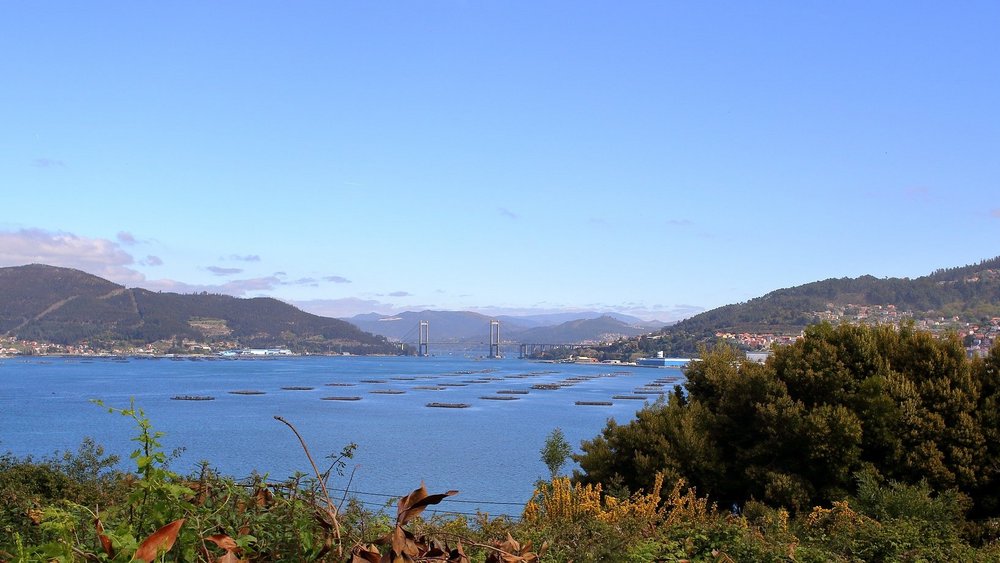 ria-de-vigo-1007496_1920