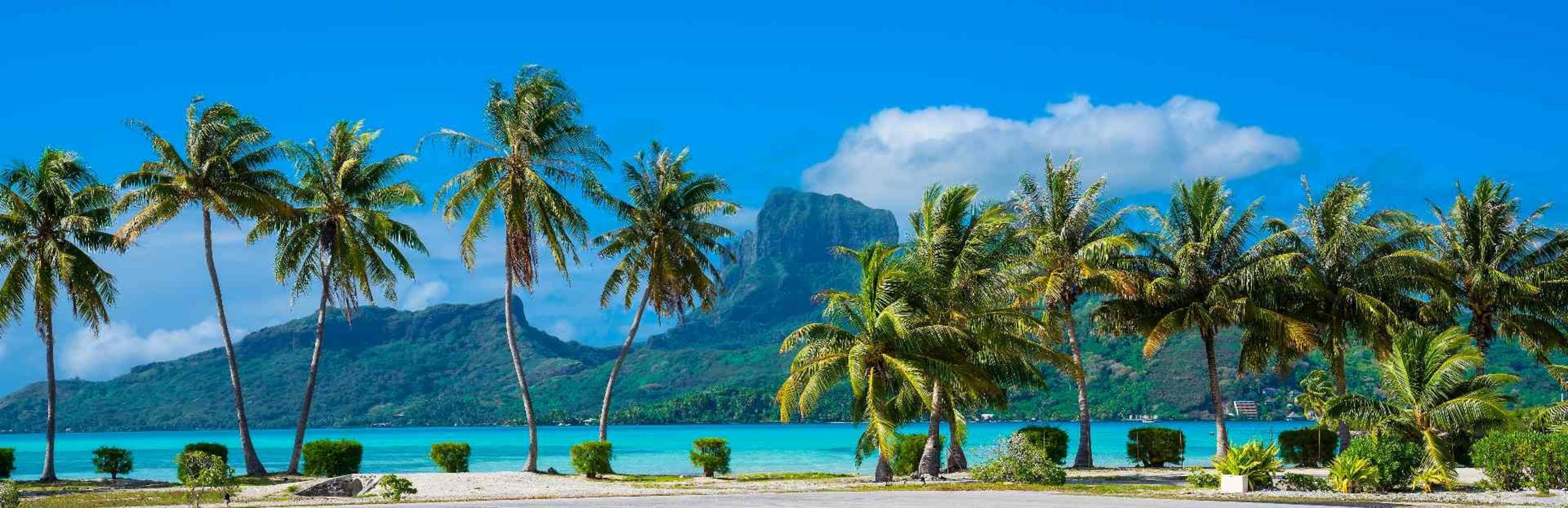 © Gang / Adobe Stock