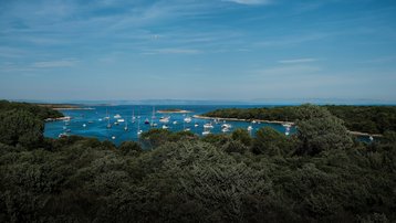 frans-ruiter-cZpM9btMoGw-unsplash