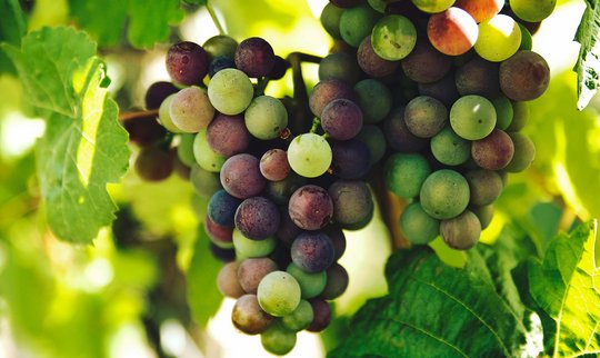 rohit-tandon-fLNStYwV01Y-unsplash