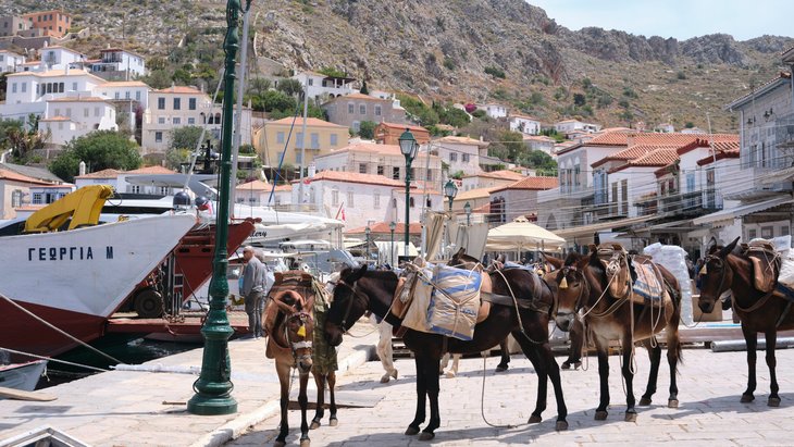 jordan-durzi-S1j3WKcebcc-unsplash__1_