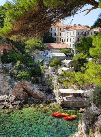 cat-bassano-uCJHhrvG4QA-unsplash