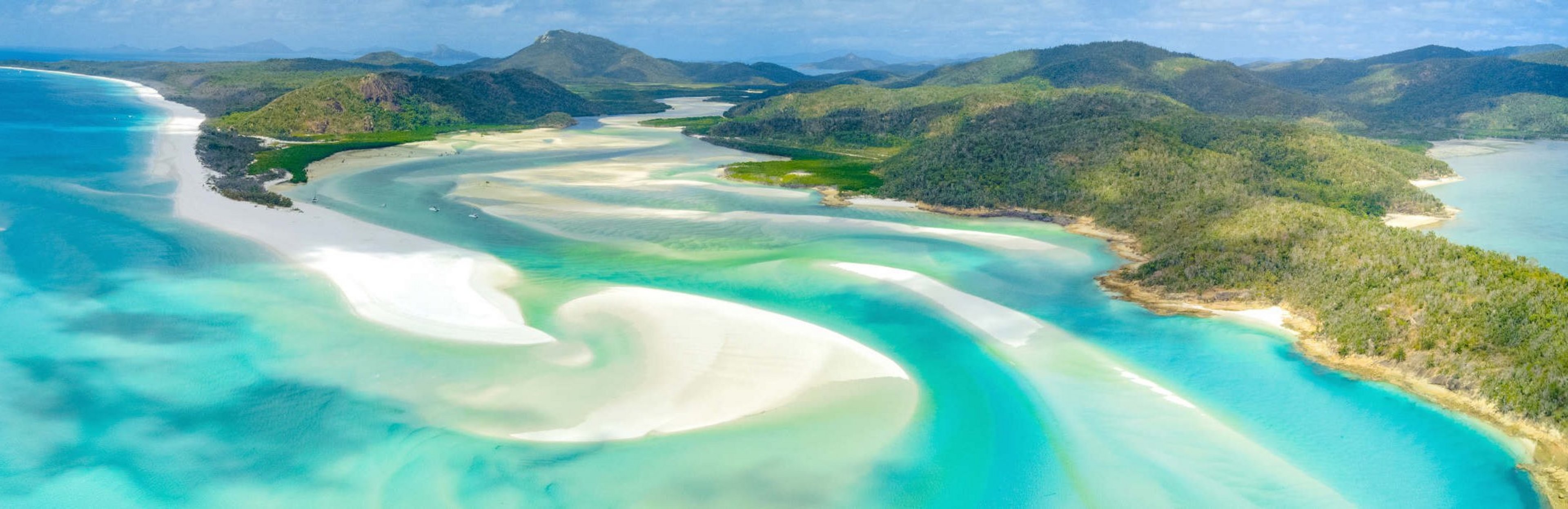 © Coral_Brunner / Adoba Stock © Coral_Brunner / Adoba Stock