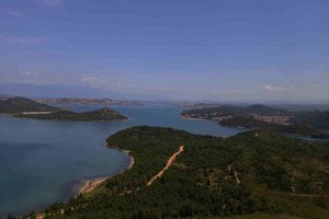 Im Revier um Ayvalik image-15890