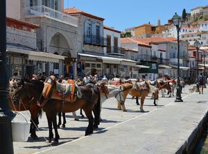 Maultiere im Hafen von Hydra image-15830
