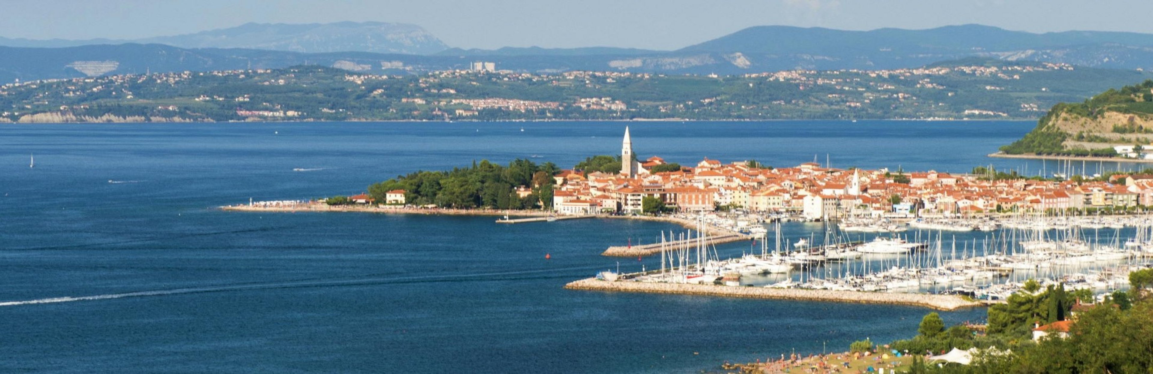 © srhmbmgrtnr / pixabay