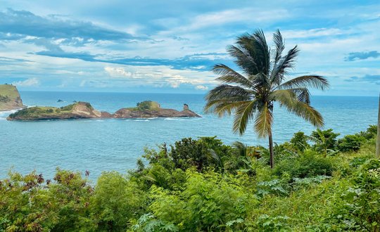 sara-nichols-FXx84lwRniI-unsplash