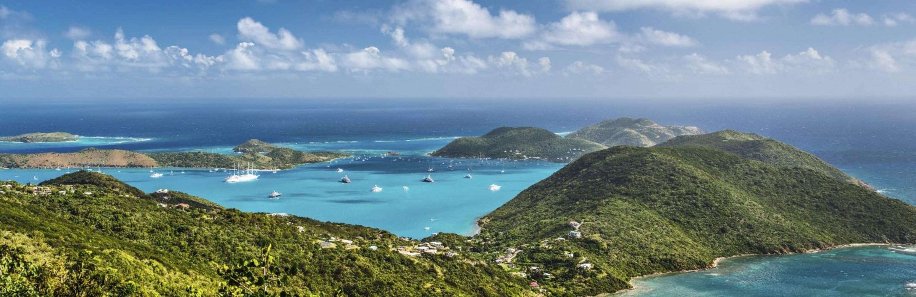 BVI_Header