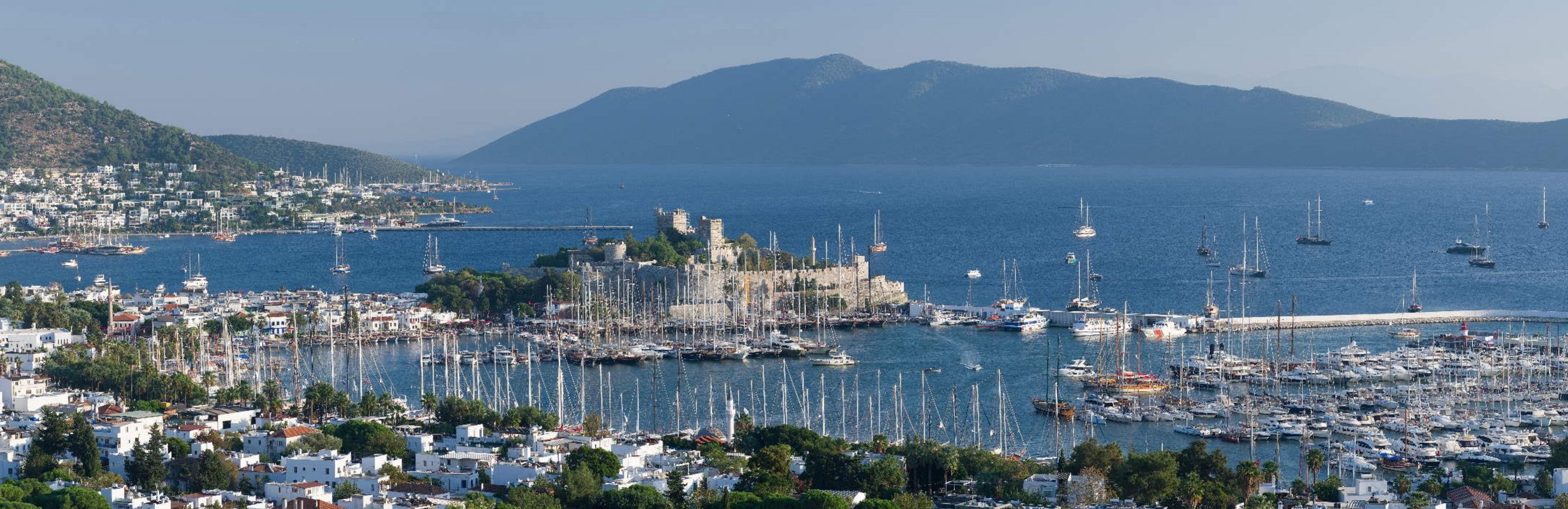 © daphnusia / Adobe Stock © daphnusia / Adobe Stock