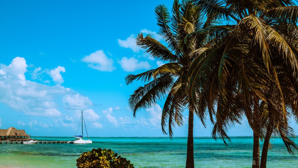 meritt-thomas-CPQzhay5ufM-unsplash