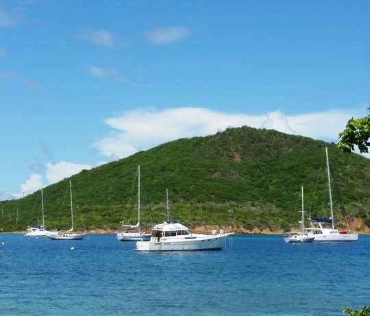 karl-callwood-OrC2ZcfjvCM-unsplash