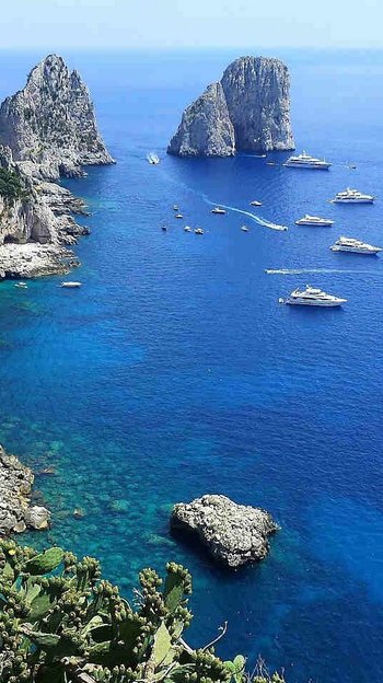 capri-79335_1280
