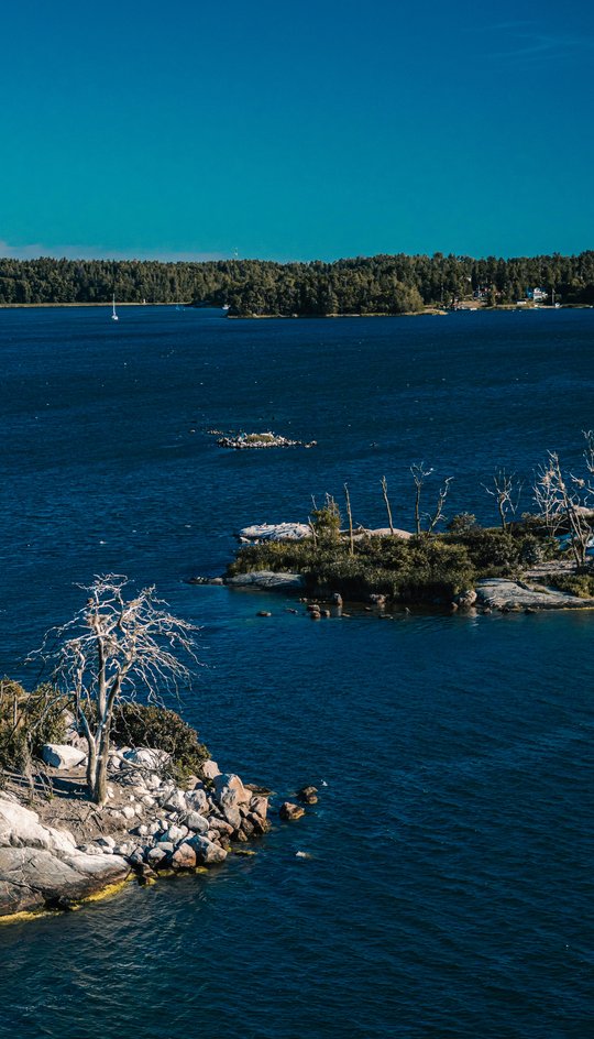 tejas-kotha-aIRdas1adiM-unsplash